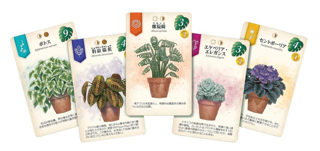 Arclight Verdant Complete Japanese Version Ages Board Game (1-5 Players, 30-45 Minutes, 10+)