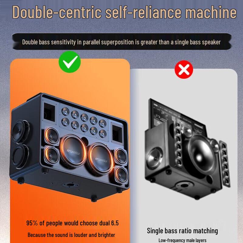 Sansui C2 Home & Outdoor KTV Speaker System