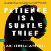 Patience Is a Subtle Thief by Abi IsholaAyodeji Paperback Book 9780063116924