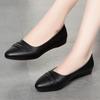 Fashion Flats for Women Autumn Summer Fashion Pointed Toe Shoes Casual Work Shallow Flats Elegant Ladies Leather Shoes Slip On Footwear