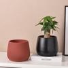 Simple Ceramic Flower Pot with Tray