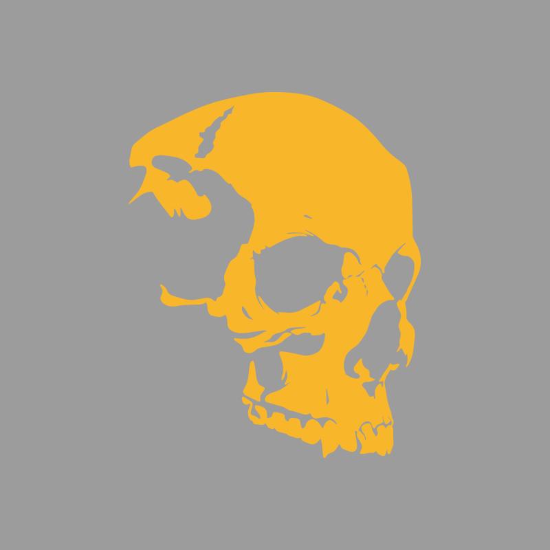 Расширенная текстура скелета черепа Дизайн приключений на открытом воздухе, наклейки для приключений на открытом воздухе украшения на природную тематику прочный винил