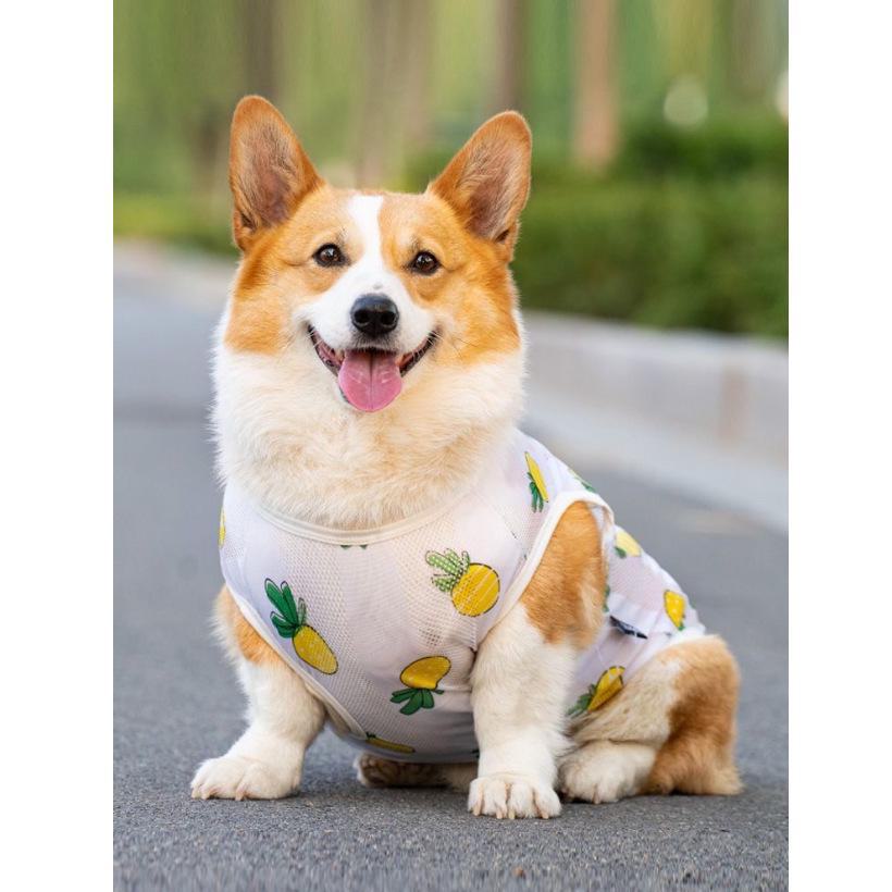 Дышащий сетчатый жилет для домашних животных на все времена года — подходит для маленьких, средних и больших собак: Французские бульдоги, корги, сиба-ину