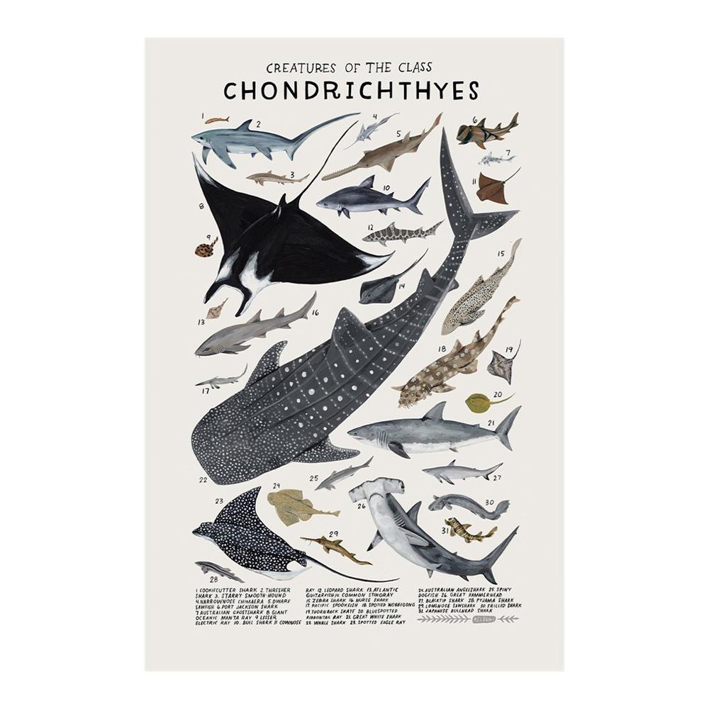 Абстрактные морские организмы медузы киты кальмары рыбы постеры холст картины и принты настенное искусство картина для комнаты домашний декор