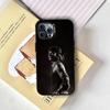Ken Carson More Phone Case For iPhone 17,16,15,14,13,12,11 Plus,Pro Max,XS,Colored Silver Plated Inside Cover