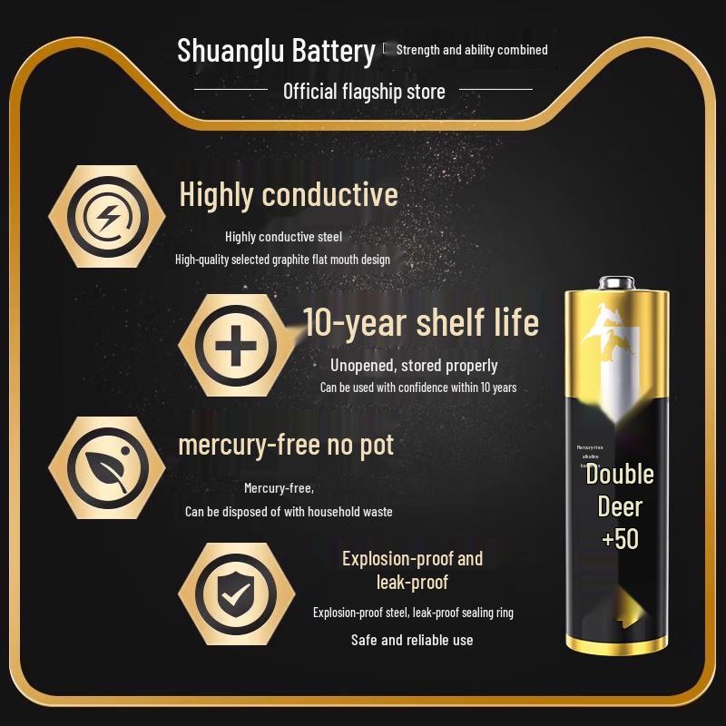 Shuanglu AA Alkaline Batteries CN plug (adapter included)