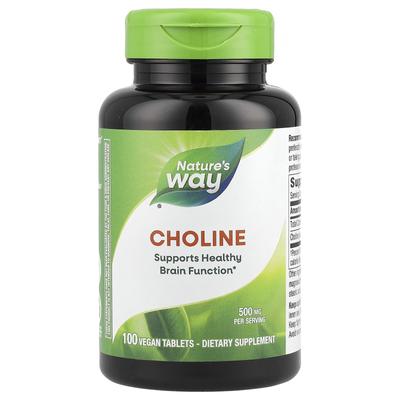 Nature's Way, Холин, 500 мг, 100 растительных таблеток