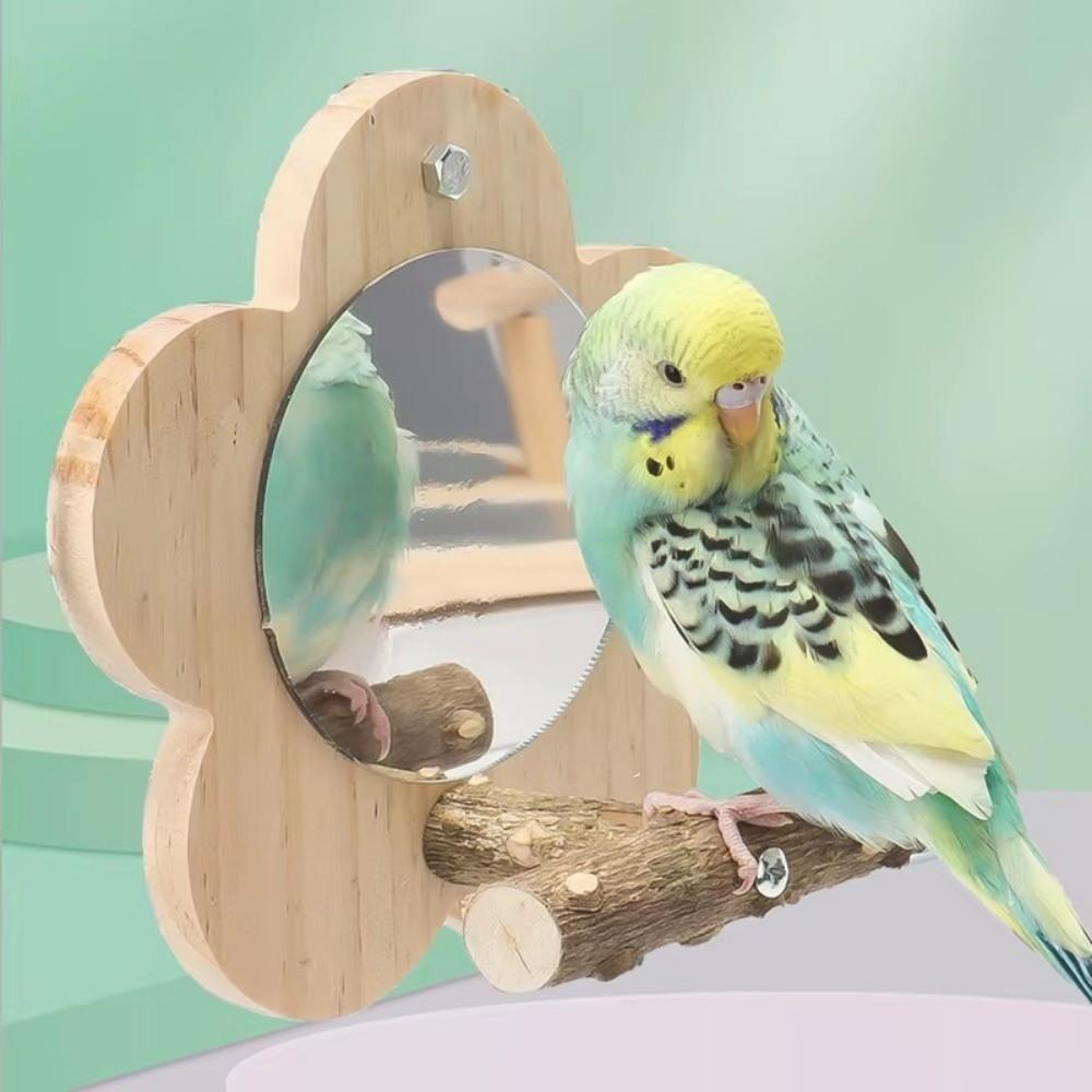 Square Bird Perch Stand Wooden Parrot Toys Creative Branch Perch Rod Stand Cage Accessories