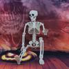 Skeleton Halloween Decorations Life Body Anatomy Model Lifelike Skeleton Model for Haunted Houses Cemeteries