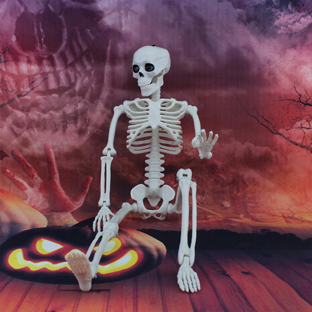 Skeleton Halloween Decorations Life Body Anatomy Model Lifelike Skeleton Model for Haunted Houses Cemeteries