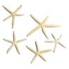 Fish Tank Starfish Decor Unique Beautiful Starfish Ornament Set for Home Aquarium DIY Photo Frame