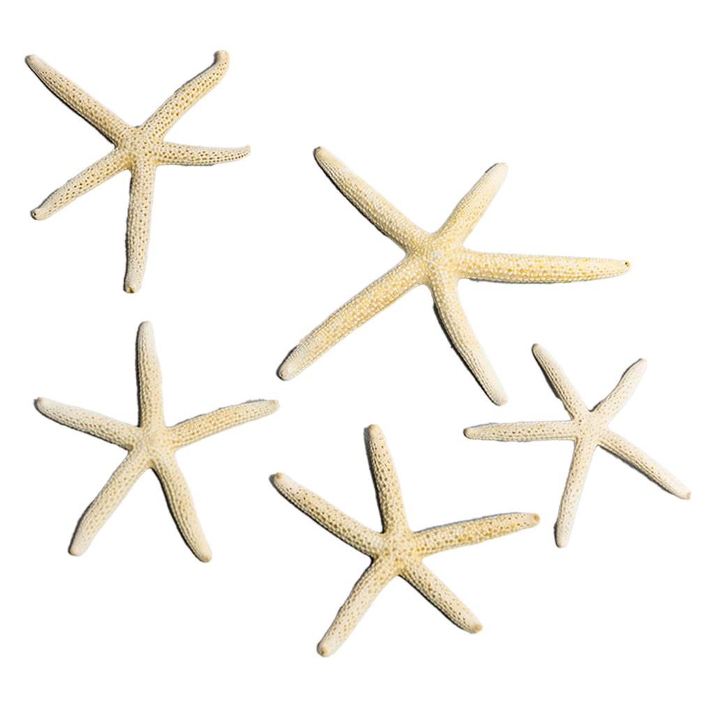 Fish Tank Starfish Decor Unique Beautiful Starfish Ornament Set for Home Aquarium DIY Photo Frame