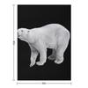 Polar Bear - Giant Polar Bear - Cute Polar Bear Throw Blanket Furrys for Winter Weighted Valentine Gift Ideas Blankets