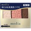 Тени для век Media Color N Pk 01 3.1 G kaNebow Cosmetics