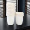 Disposable White Tasting Cups