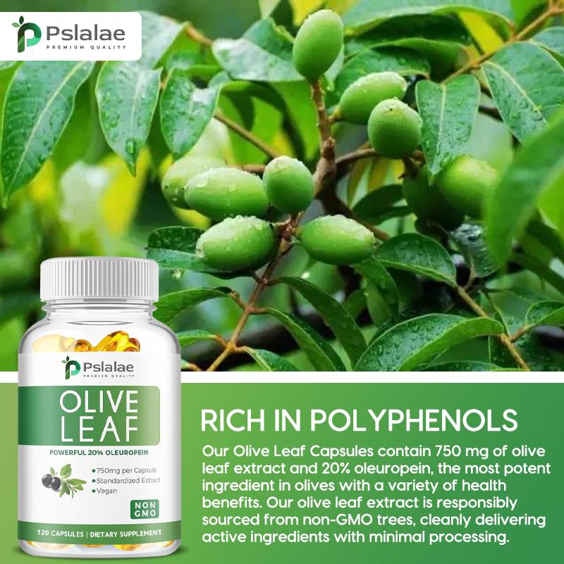 High-concentration olive leaf extract, natural plant extracts, 750 mg, daily nutritional supplement for adults, 120 capsules.
