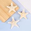 Natural Starfish Hair Clips Sea Star Hair Clips Starfish Hairpin Beach Hair Clip