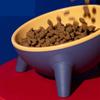 Raised Tilted Elevated Bowl Pet Cats Food Water Dish Backflow Prevention Feeding Dispenser Container
