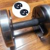 2 Pieces Fractional Weight Plates,1.25lb,Micro Change Plates for Barbell Weightlifting Gym Home