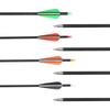 Mixed Carbon Fletched Arrows (10-Pack)