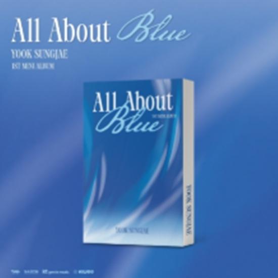 YOOK SUNGJAE (BTOB) 1st Mini Album - All About Blue (PLATFORM Ver.) - Release date 2025-06-19