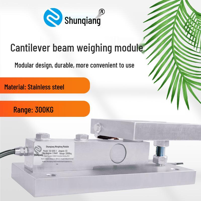 Shunqiang SB Weighing Module: 3t Metering Tank, 5t Tank Body, 10t Reactor