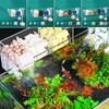 Silent Fish Tank Built-in Circulating Water Purifier Multifunctional Waterfall Filter Box for Home
