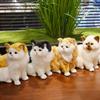 Animal Realistic Cat Stuffed Doll Sitting Posture Lifelike Cat Plush Toy Photo Props
