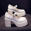 Retro Mary Jane Women's Shoes High Heels Autumn New Thick Heels Platform Waterproof Table British Small Leather Shoes Women's Single Shoes