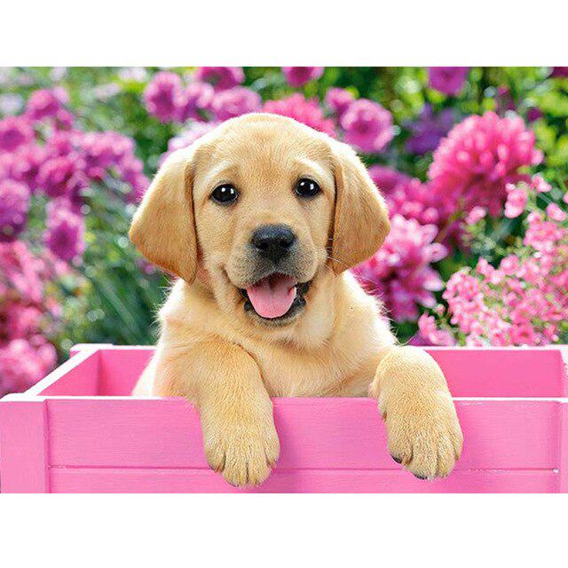 Собака DIY 5D алмазная живопись полная круглая дрель мультфильм животное Алмазная вышивка набор для вышивки крестом горный хрусталь мозаичная Наклейка на стену