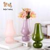 Elegant Retro Glass Vase for Fresh Flowers - Stylish Hydroponic Flower Arrangement Decor