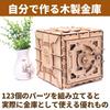 Felimore Wooden Model Wooden Safe Dial Type 3D Puzzle Woodworking Craft 3D No Glue Required Assembly