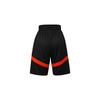 Nike Шорты для баскетбола Dri FIT Icon Мужские Черные DV9525-013