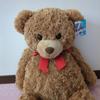[USED] Teddy bear with tag, large brown stuffed bear, large bear