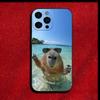 Милый чехол для телефона с капибарой для iPhone 16,15,14,13,12,11,Pro,X,XS,Max,XR,Plus,Mini Мягкий черный чехол