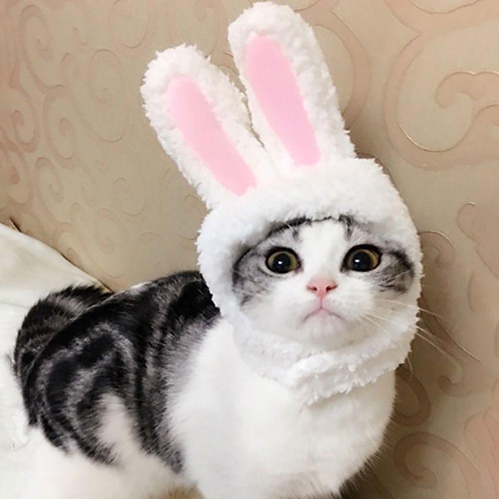 Cute Cat Hat Refined Knitted Hat New Pet Headwear