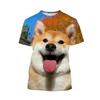 Summer Women's Cute Animal Shiba Dog Pattern 3D Printed O-Neck Short Sleeve T-shirt Fun Casual Plus Size Top