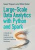 Книга Large-Scale Data Analytics with Python and Spark : A Hands-on Guide To Implementing Machine Learning Solutions