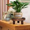 Indoor Outdoor Display Succulent Flower Pot Base Wooden Stool Plant Stand Shelf Flower Pot Holder