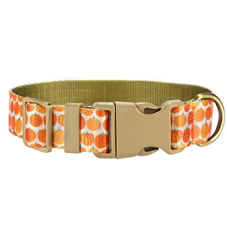 Cats Collar and Leash Set for Training Walking Belt for Large Medium Small Cats