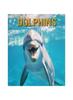 Книга Dolphins : Amazing Photos and Fun Facts Book