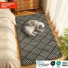 Pet Minimalist Style Small Fresh Entrance Entrance Bathroom Kitchen Floor Mat Floor Mat Non-slip Machine Washable Carpet