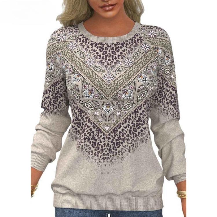 Women's Fashion Comfortable Loose Hoodie Casual Long Sleeve Pullover Round Neck Top Simple Design Spring Autumn New Sense