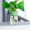 2 шт. Мини гидропонный цветочный горшок многоразовый прозрачный гидропонный кашпо настольные горшки для растений без почвы для украшения офиса и дома