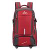 Outdoor Capacity Large Hiking Backpack Sports Travel Bag Schoolbag Lightweight