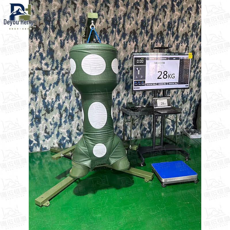 Deyou Hengchang Intelligent Combat Training Assessment System