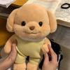2 размера Милые плюшевые игрушки для собак Пудель Мягкие чучела Плюшевые собачки Детские подарки на день рождения Домашняя вечеринка Свадебный декор Рождественские подарки
