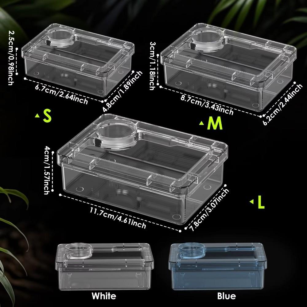 Reptile Lizards Geckos Feeding Bowls Prevent Tenebrio Molitor and Blaptica Dubia Transparent Trough Feeder Anti Overturning
