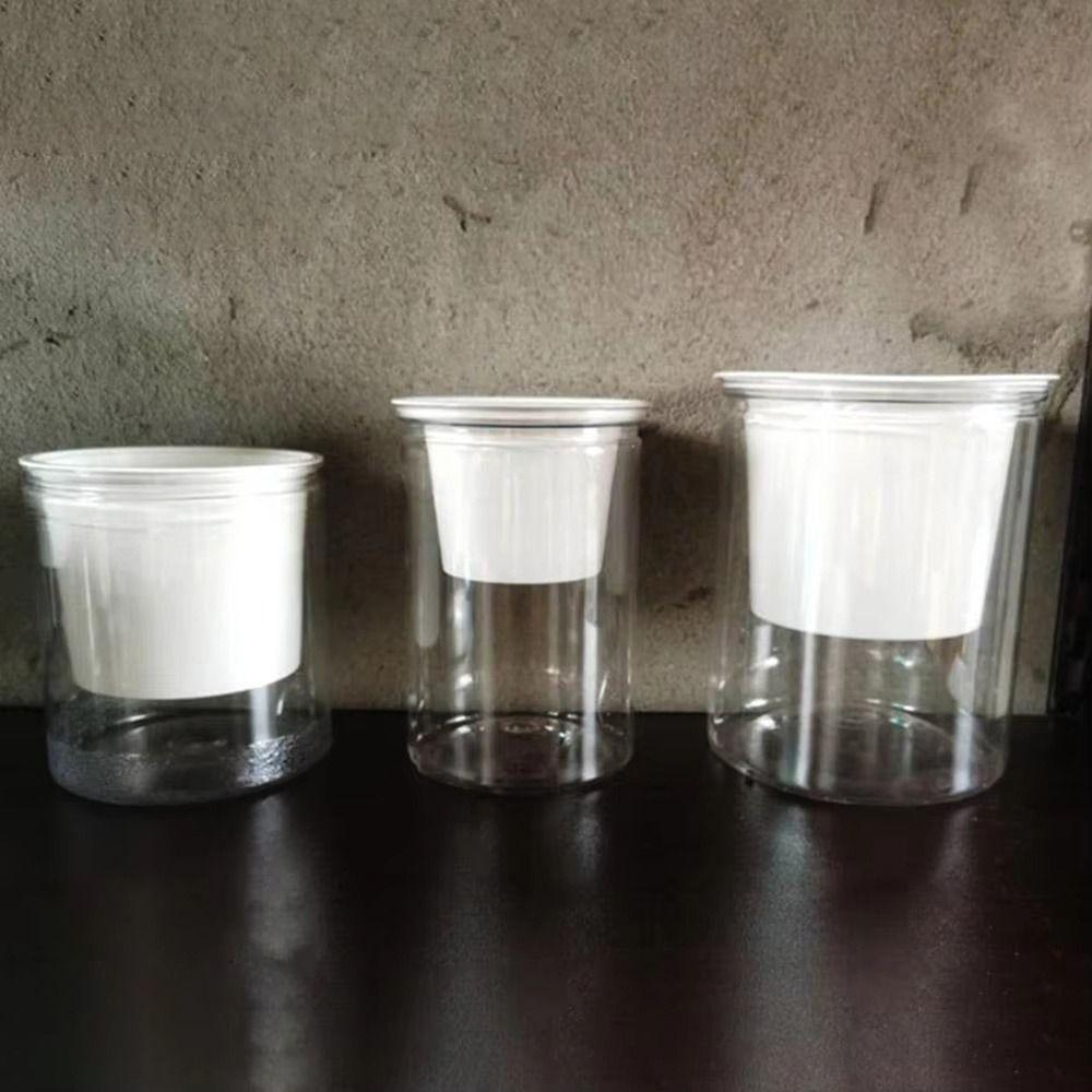 1Pcs Self Watering Hydroponic Planter for Green Dill Succulents Travel Essentials