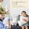 [Official] Ides Bruna Bonbon Fluffy Mini Rabbit White | Soft Rabbit, Baby, Kids Gift, Washable, Interior